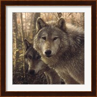 Wolves - Woodland Companions Fine Art Print