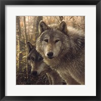 Wolves - Woodland Companions Fine Art Print
