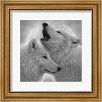 Wolves - Love Song - B&W Fine Art Print