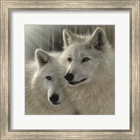 Wolves - Sunlit Soulmates Fine Art Print