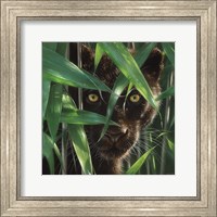 Black Panther - Wild Eyes Fine Art Print