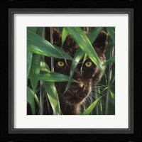 Black Panther - Wild Eyes Fine Art Print