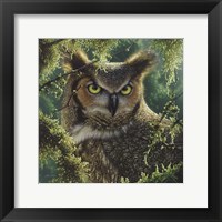 Great Horned Owl - Watching and Waiting Fine Art Print