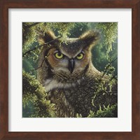 Great Horned Owl - Watching and Waiting Fine Art Print