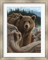Brown Bears - Backpacking Fine Art Print