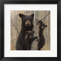 Black Bear Mother and Cubs - Mama Bear Fine Art Print