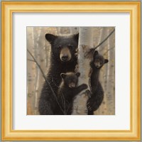 Black Bear Mother and Cubs - Mama Bear Fine Art Print