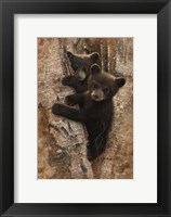 Curious Cubs Fine Art Print