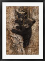 Curious Cubs Fine Art Print