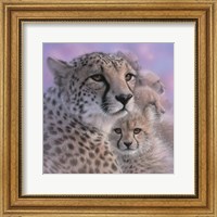 Cheetah Mother and Cubs - Mother's Love - Square Fine Art Print