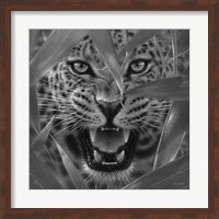 Jaguar - Ambush - B&W Fine Art Print