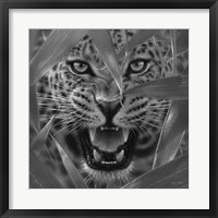 Jaguar - Ambush - B&W Fine Art Print