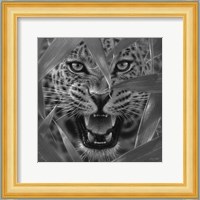 Jaguar - Ambush - B&W Fine Art Print