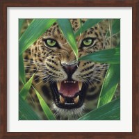 Jaguar - Ambush Fine Art Print