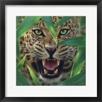 Jaguar - Ambush Fine Art Print