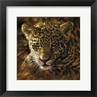 Jaguar Cub on Bark Fine Art Print