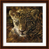 Jaguar Cub on Bark Fine Art Print