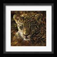 Jaguar Cub on Bark Fine Art Print