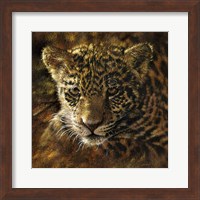 Jaguar Cub on Bark Fine Art Print