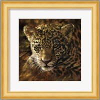 Jaguar Cub on Bark Fine Art Print