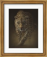 Leopard - Savage Fine Art Print