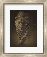Leopard - Savage Fine Art Print