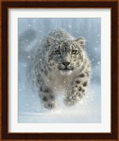 Snow Leopard - Snow Ghost - Vertical Fine Art Print