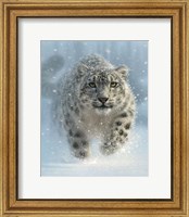 Snow Leopard - Snow Ghost - Vertical Fine Art Print