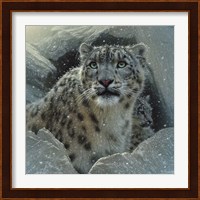 Snow Leopard - The Fortress Fine Art Print