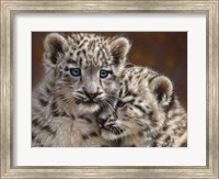Snow Leopard Cubs - Playmates - Horizontal Fine Art Print