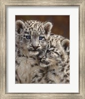 Snow Leopard Cubs - Playmates Fine Art Print