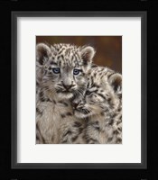 Snow Leopard Cubs - Playmates Fine Art Print