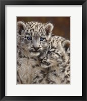 Snow Leopard Cubs - Playmates Fine Art Print