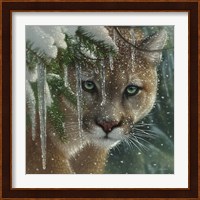 Cougar - Frozen Fine Art Print
