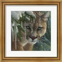 Cougar - Frozen Fine Art Print