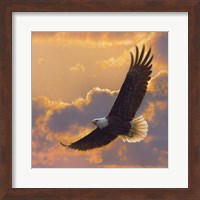 Soaring Spirit Fine Art Print