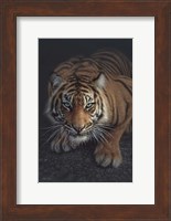 Crouching Tiger - Vertical Fine Art Print