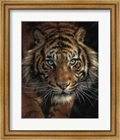 Eye of the Tiger Fine Art Print