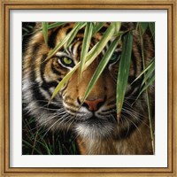 Tiger - Emerald Forest Fine Art Print