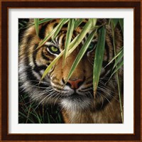 Tiger - Emerald Forest Fine Art Print