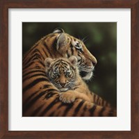 Tiger Mother and Cub - Cherished Fine Art Print