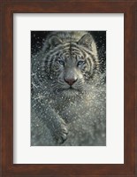 White Tiger - West and Wild Fine Art Print