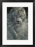 White Tiger - West and Wild Fine Art Print