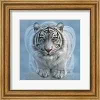 White Tiger - Wild Intentions Square Fine Art Print
