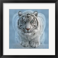 White Tiger - Wild Intentions Square Fine Art Print