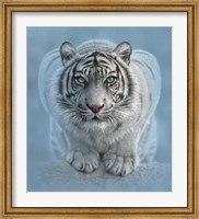 White Tiger - Wild Intentions Fine Art Print