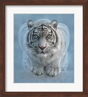 White Tiger - Wild Intentions Fine Art Print