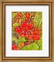 Holly and Berries Fine Art Print