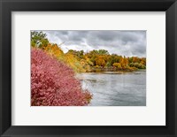 Snake River Autumn IV Fine Art Print