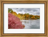 Snake River Autumn IV Fine Art Print